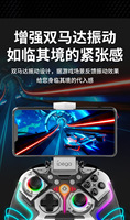Manette de jeu sans fil BT pour PC - Programmable, avec détection de mouvement par vibration, gyroscope six axes, pour joueur de jeux
