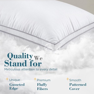 Ensemble de coussins en polyester en lot économique, <span class=keywords><strong>prix</strong></span> compétitif pour les acheteurs en gros - Product Image 5