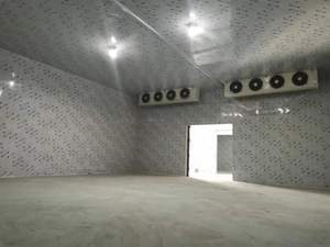 Nuelead ห้องเย็นตู้แช่ผักเนื้ออีเมอร์สันแบบพกพาออกแบบได้ตามต้องการ - Product Image 4