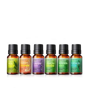 プライベートラベルオーガニック100% ピュアアロマセラピーエッセンシャルオイルギフトセットクリスマスペパーミントオレンジジャスミンラベンダーライムティーツリー - Product Image 3