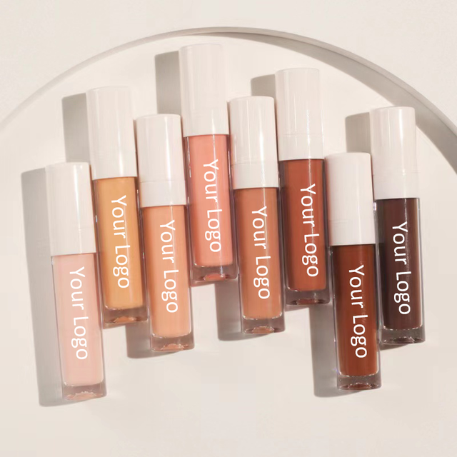 Free Sample Custom Logo Private Label Long Lasting Matte Face Makeup Full Coverage Liquid High Definition HD Pro Concealer (new)