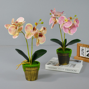 Orchidée Phalaenopsis artificielle, bonsaï, 40 cm, plante en soie, décoration d'intérieur, accessoires de mariage, rose, blanc, champagne, violet - Product Image 1