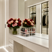 Système de dressing sur mesure avec porte vitrée, éclairage LED, miroir de courtoisie et rangement pour la maison