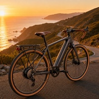 Vélo électrique en gros d'usine, pas cher, 29 pouces, 350W, OEM, VTT électrique pour adultes