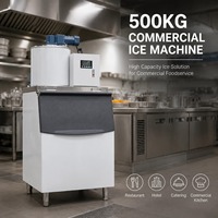 Machine à glaçons haute capacité 500 kg/24 h pour la restauration, les cuisines centralisées et les services alimentaires