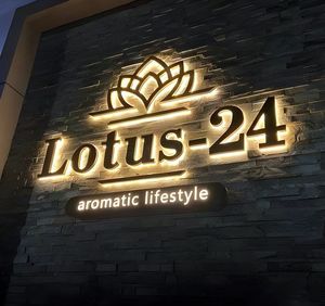 Segno pubblicitario personalizzato a Led logo del marchio aziendale logo del negozio all'aperto segno di Business da parete con logo di design leggero per salone di bellezza