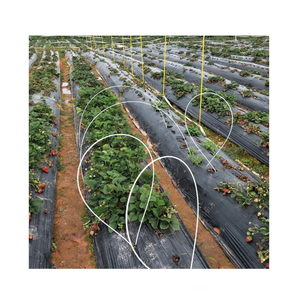 Poteau en fibre de verre flexible et durable de haute résistance pour les produits pultrudés par FRP de tente avec le service de traitement de moulage - Product Image 1