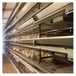 Diseño <span class=keywords><strong>de</strong></span> Jaulas Automáticas para Gallinas Ponedoras con Comedero y Bebedero en <span class=keywords><strong>Guinea</strong></span> - Product Image 1