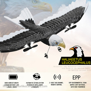 EPT 2.4G Hélicoptère Aigle à tête blanche télécommandé à 2 canaux Jouet Rc Jouets volants télécommandés Avion Avion - Product Image 3