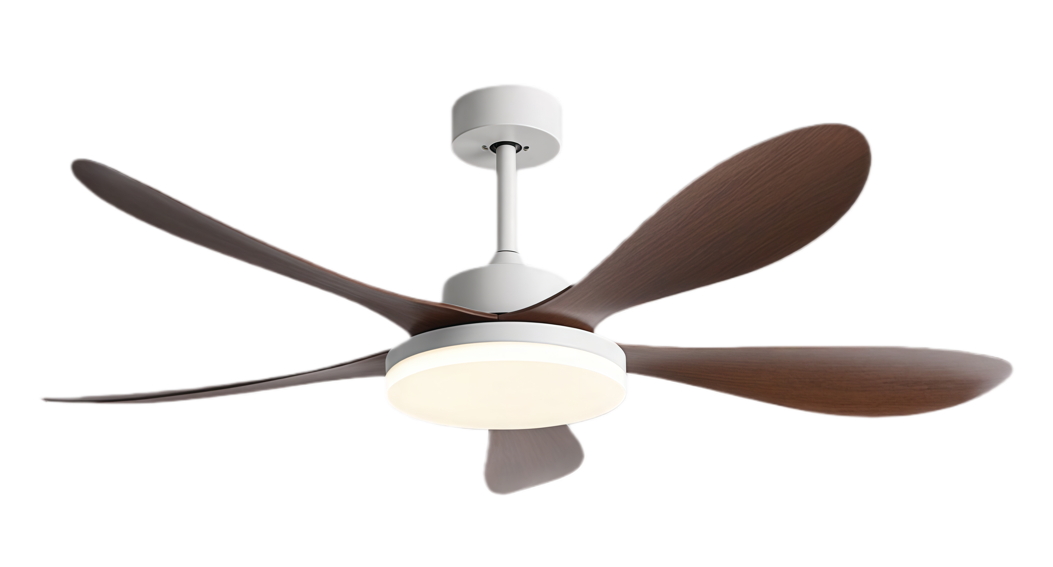 วอลนัทขาว