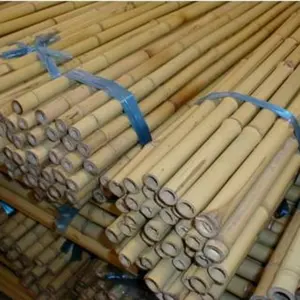 Angepasst alle Arten von Bambus stock Zum Anpflanzen und Unterstützen von umwelt freundlichem Bambus 1,8 m-12/14mm