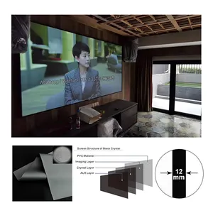 Экран XY для проектора телевизора 120 дюйма, тонкая рамка 12 мм, алюминиевая рамка, ALR проекционный экран для DLP LED LCD проектора