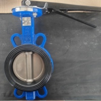 Katup Kupu-kupu Wafer DI/SS304 100mm 200mm Segel Liner EPDM/PTFE ANSI 150LB Aman untuk Air Dioperasikan dengan Tuas Tangan/Roda Rantai/Aktuator
