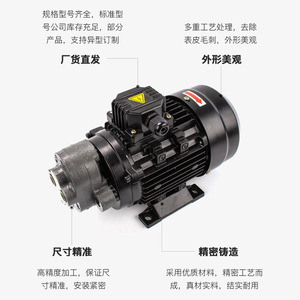 Pompe à engrenages hydraulique pneumatique Dde Dade 380V triphasée, corps en fonte, débit de 11 Lpm - Product Image 3