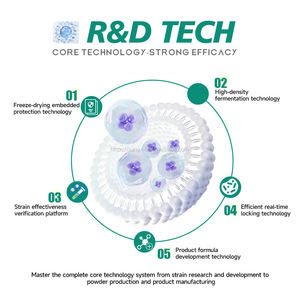 Probiotiques Halal à Marque Blanche Prébiotiques 100 Milliards UFC Poudre Peptides de Lactosérum Bacillus Subtilis Probiotique Adulte - Product Image 4