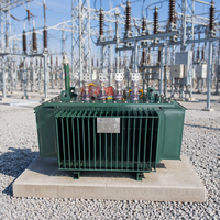 Transformateur de distribution haute tension immergé dans l'huile 160 kVA S13 20 kV, enroulement en cuivre, sortie 480 V, double enroulement, 50/60 Hz, monophasé/triphasé