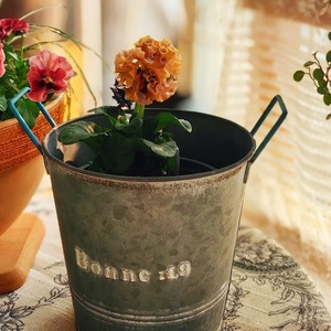 <span class=keywords><strong>Macetas</strong></span> de Metal Duraderas de la Serie Bonnie, Venta Directa de Fábrica, Ideales para Jardín, Ventana o Mesa - Product Image 2