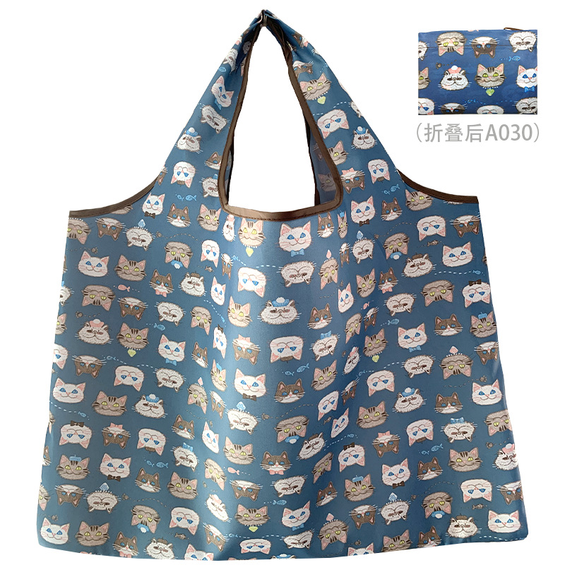 A030 แมวสีฟ้า