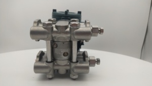 Diafragma Sellado Yokogawa Serie EJX/EJA-E de Acero Inoxidable 0-10MPa con Certificación REACH para Uso Industrial Precio Yokogawa - Product Image 6