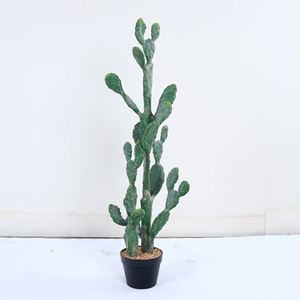 Cactus artificiel en plastique, plante paysagère, ornement de jardin pour la décoration intérieure, plantes artificielles, vente en gros d'usine. - Product Image 1