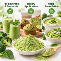 Poudre de brocoli lyophilisée Fruiterco, qualité alimentaire, poudre de légumes verts pour les boissons, les smoothies et la formulation alimentaire