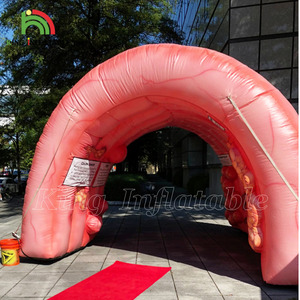 Túnel Inflable de <span class=keywords><strong>Colon</strong></span>, Órgano Intestinal Grande, para Exhibiciones Médicas, Eventos Hospitalarios y Centros Médicos - Product Image 2