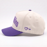 Casquette de baseball ajustable à 5 panneaux, bicolore violette, de haute qualité, brodée sur mesure avec logo en relief 3D