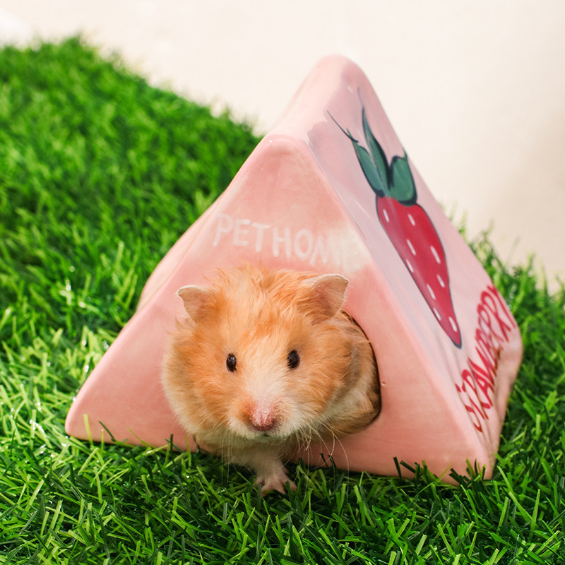 Triangle strawberry
