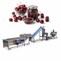 Volledig automatische industriële machine voor het maken van saus, ketchup, fruitjam en kleine tomatenpuree productielijn