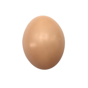 <span class=keywords><strong>Huevos</strong></span> Frescos <span class=keywords><strong>de</strong></span> Calidad Premium para Incubación <span class=keywords><strong>de</strong></span> Pollos, Compra al por Mayor con Entrega Rápida para Cría <span class=keywords><strong>de</strong></span> Aves <span class=keywords><strong>de</strong></span> Corral y Crecimiento para Incubadoras <span class=keywords><strong>de</strong></span> <span class=keywords><strong>Huevos</strong></span> - Product Image 3