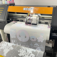 Grosir 2022 DTF 65Cm/A3 T Shirt PET Film Digital Printer & Bubuk Pengocok Harga Pabrik Kaus Cetak