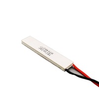 TEC12 * 60 10*60 15*60 Résistance aux hautes températures HT Semiconductor Peltier Cooler Industrial Partier Cooling Sheet