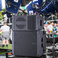 Système de son de subwoofer professionnel TW110S 15 pouces Line Array pour des performances à grande échelle Cabinet de subwoofer professionnel