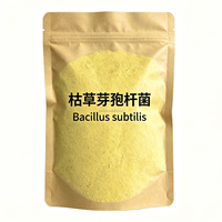 Bacillus Subtilis 100 milliards d'UFC/g Enzymes dégradatrices de toxines intestinales Poudre fine uniforme Additif alimentaire pour le bétail et la volaille