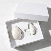 Diffuseur de parfum d'ambiance FinRu en céramique et porcelaine, avec pierres aromatiques et bâtonnets parfumés aux huiles essentielles pour la maison