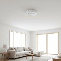 Sensor de Iones Negativos SMRTE de Alta Precisión (2%rh) RS485 DC 12-24V para Montaje en Techo, Monitoreo de Cascadas y Plantas Post-lluvia