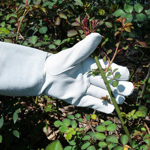 Gants de jardin en cuir de vache pour hommes et femmes, gantlet Rose à éciselure, Long, étanche - Product Image 6