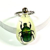 Porte-clés, insecte en résine, scintillant dans un insecte, bijou tendance,