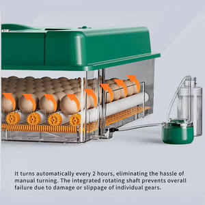 Incubatrice Automatica per 192 Uova di Gallina 220V/110V/12V, Macchina per la Schiusa di Uova di Quaglia, Anatra, Oca e Piccione - Product Image 4