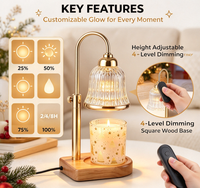 Lampe chauffe-bougie avec minuterie et variateur d'intensité - Cadeaux d'anniversaire pour femmes, décoration de chambre, Noël