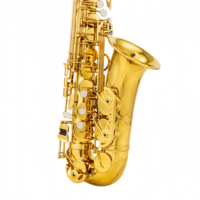 Customized Brass Body Eb Alto Saxophone Gold Lacquer Finish Professional Elbow Wind Instrument for Beginner with Accessories