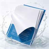 A4 A3 8,5 "x 11" Inkjet Vinyl Aufkleber Papier Benutzer definiertes transparentes PVC-Papier Wasserdichtes Aufkleber papier
