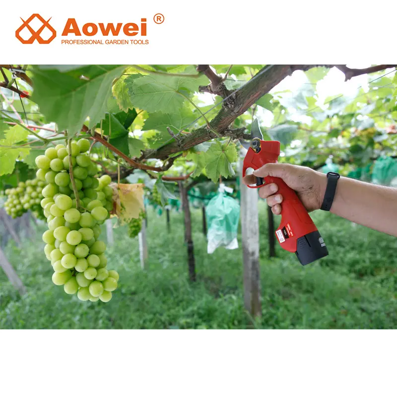 AOWEI Gunting Kebun Profesional, Alat Pemotong Cangkok Pohon Buah