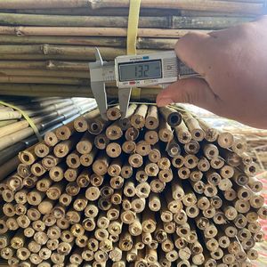 Venta al por mayor grandes postes de bambú Vietnam tratado Moso tubo de poste de bambú para el panel de pared y la estructura al aire libre de precio de fábrica - Product Image 5