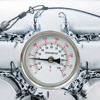 Termómetro Bimetálico Industrial de Alta Precisión WSS, 0-50 Grados Celsius, IP54, Acero Inoxidable, Resolución 1C, OEM/ODM