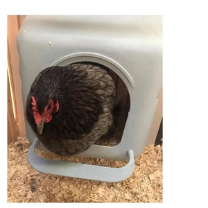 Extra Large Community Modern Commercial Chicken House Hen Chicken Layer Nests Nesting Box Chicken