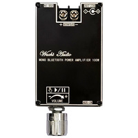 Module d'amplificateur audio mono 100W ZK-1001B avec fonction de couplage TWS TPA3116 Fabriqué en Chine