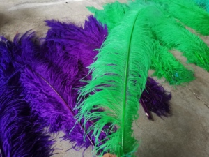 Lông Đà Điểu Màu Trắng Xanh Đỏ Lông Đà Điểu Hàng Loạt Bán Chạy Dành Cho Lễ Hội - Product Image 3