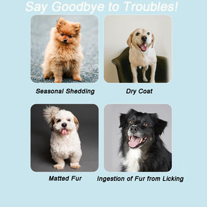 Peigne à puces en acier inoxydable à dents ultra fines pour chiens et chats, brosses portables et faciles à nettoyer, antirouille, <span class=keywords><strong>anti</strong></span>-poux de puces. - Product Image 6