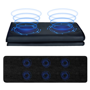 Tikar terapi PEMF 100W, sel seluruh tubuh bioenergi meningkatkan dengan alas kaki Pemf panas inframerah jauh - Product Image 6